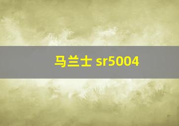 马兰士 sr5004